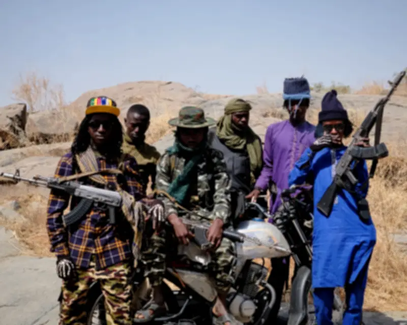Nigeria's Banditry Crisis: Climate, Land Conflicts Fuel Gangs in North-West