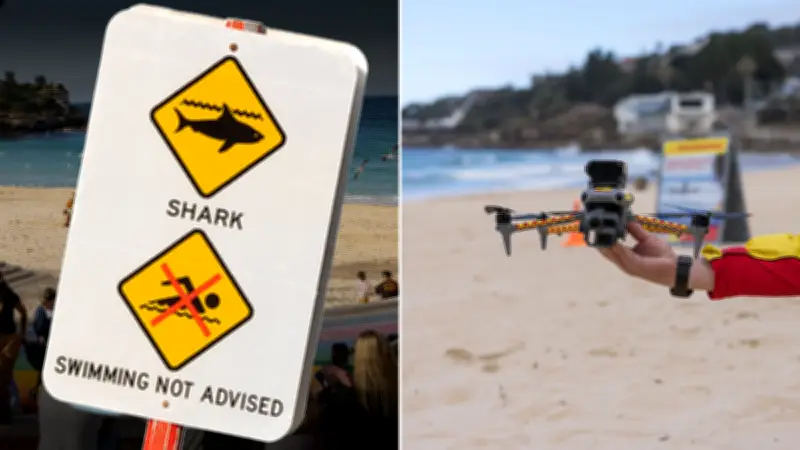 NSW Government Deploys Drones at Sydney Beaches for Shark Monitoring