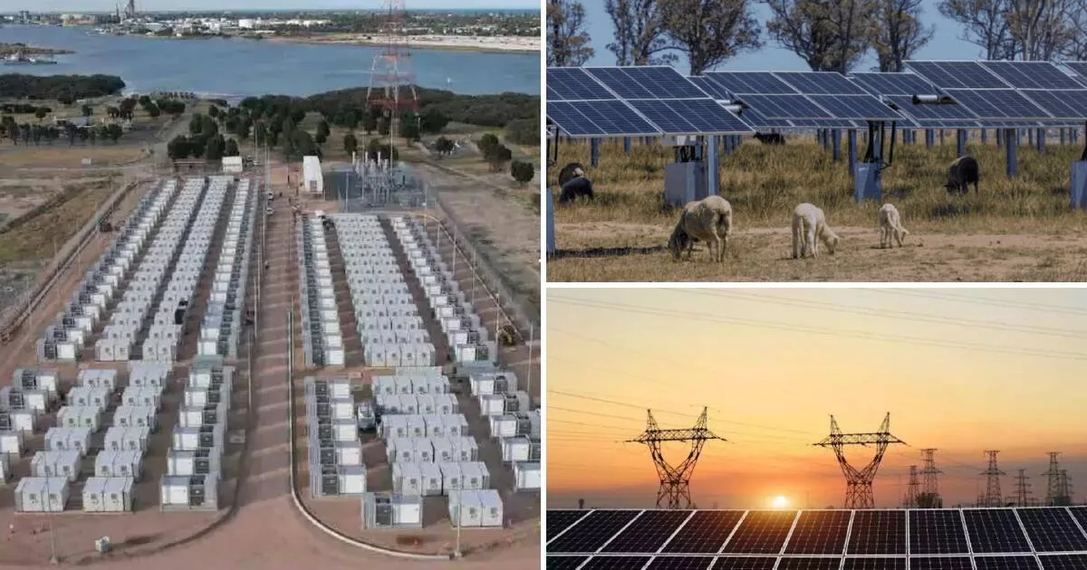 NSW Launches Largest Renewable Energy Tender Ever