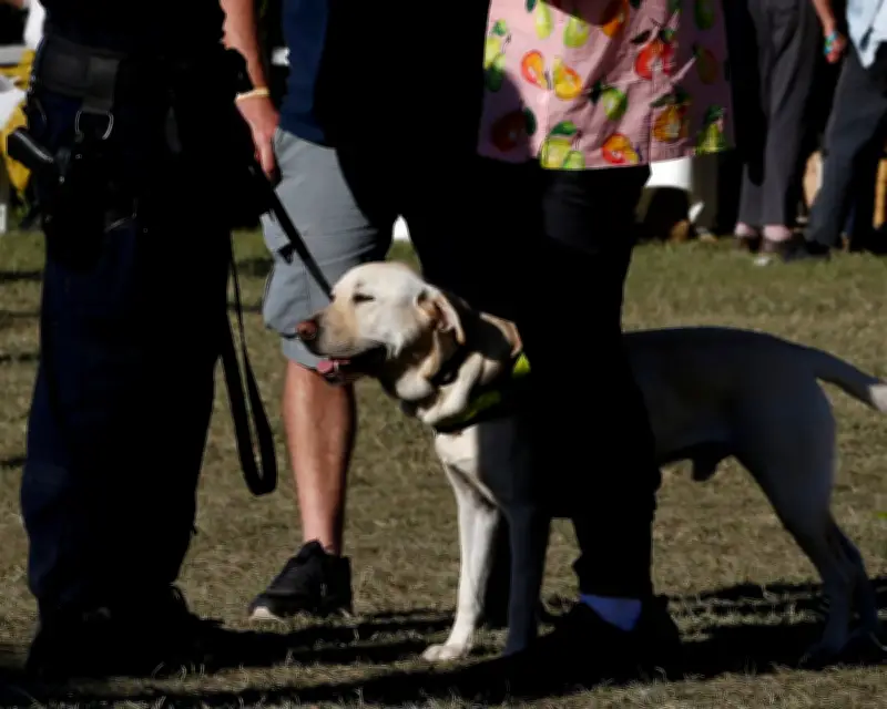 NSW Police Illegal Strip-Search Case: Aggravated Damages Upheld