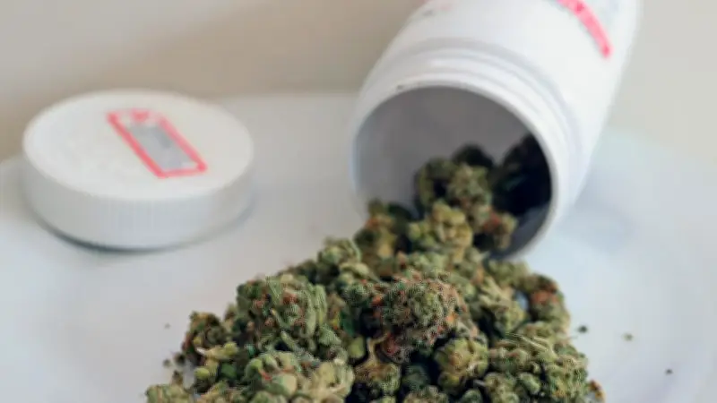 NSW Reforms Medicinal Cannabis Driving Laws, Ends Automatic Penalties