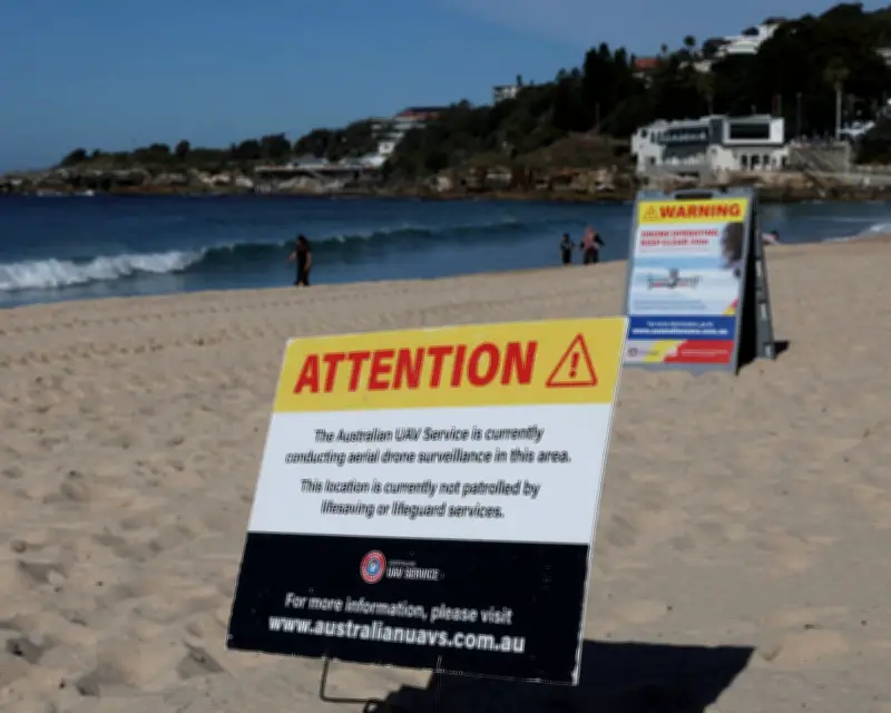 Ocean Swimmer in Australia: We Are Guests in Sharks' Territory
