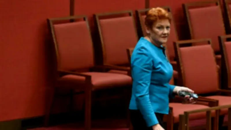 One Nation leads in polls but support steady; Labor struggles in states