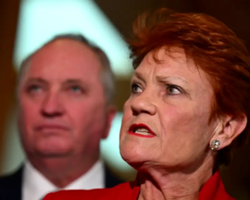 One Nation Polls Like Major Party, But Policy Stumbles Show Immaturity