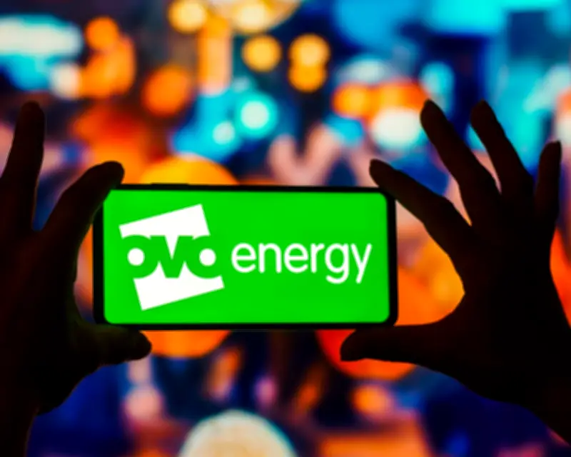 Ovo Energy to Pay Over £10m for Prepayment Meter Monitoring Failings