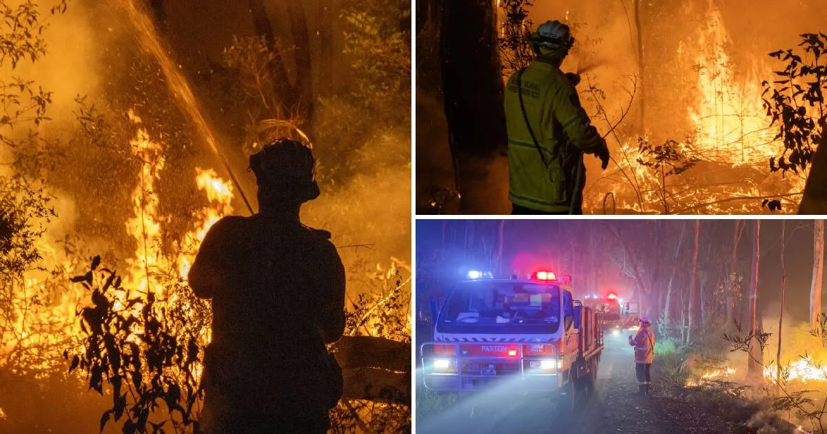 Oyster Cove Bushfire Burns Over 200 Hectares at Port Stephens