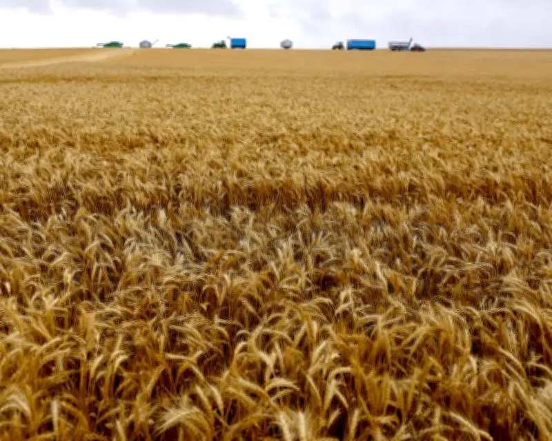 Paraquat Herbicide Remains Legal in Australia Despite Parkinson's Concerns