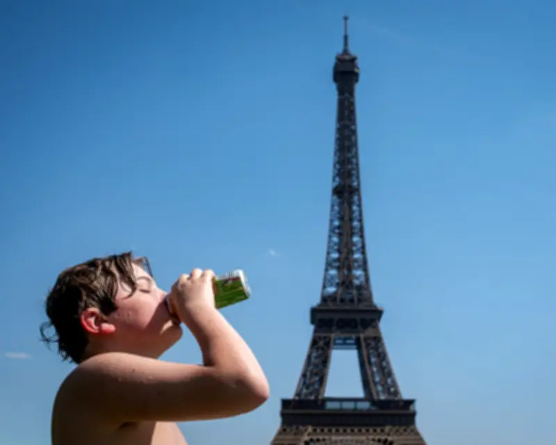 Paris Mayor Reports Heatwave Mortality Increase
