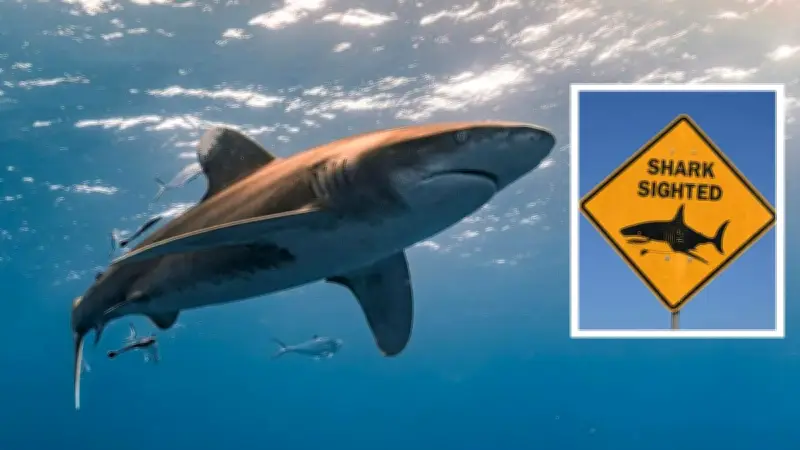 Perth Shark Alert System Fails Amid String of Fatal Attacks