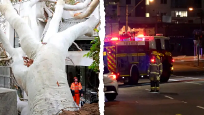 Perth Storm Aftermath: Cleanup Underway After Once-in-Five-Year Event