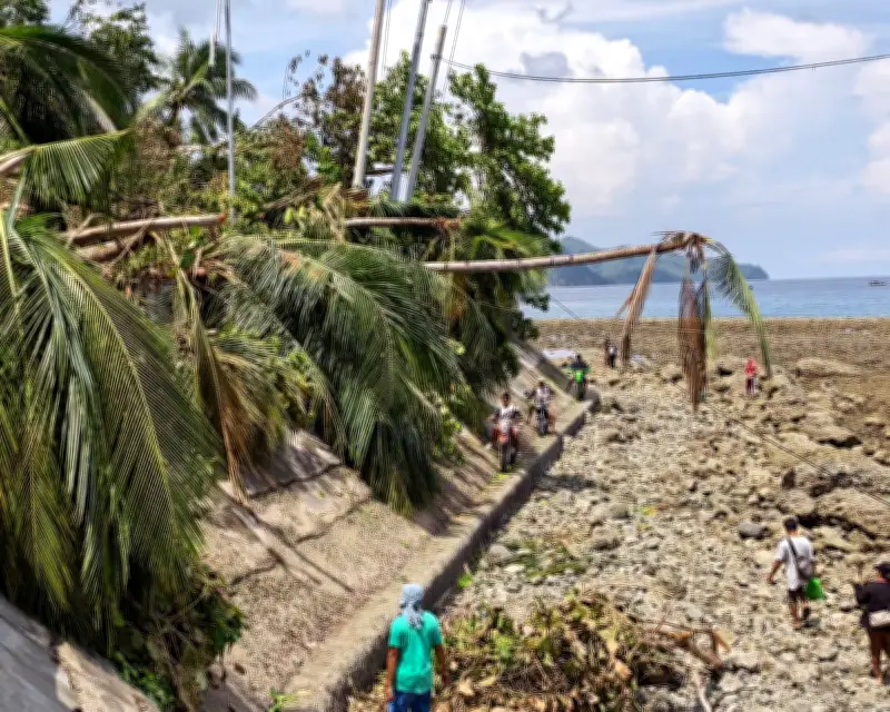 Philippines Quake Raised Seabed by 2 Metres, Killing Marine Life