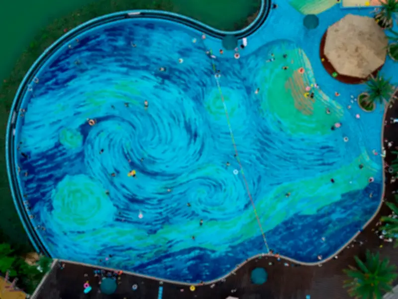Photos of the Day: Merlin Duck and Van Gogh Pool