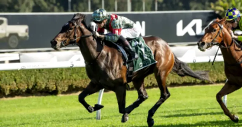 Pin Up Sheila aims to back up debut win at Warwick Farm