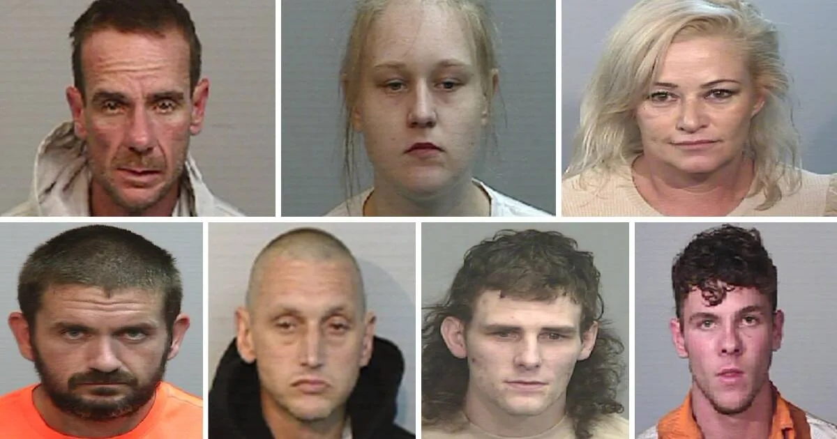Police Seek Public Help to Find Eight Fugitives in Illawarra
