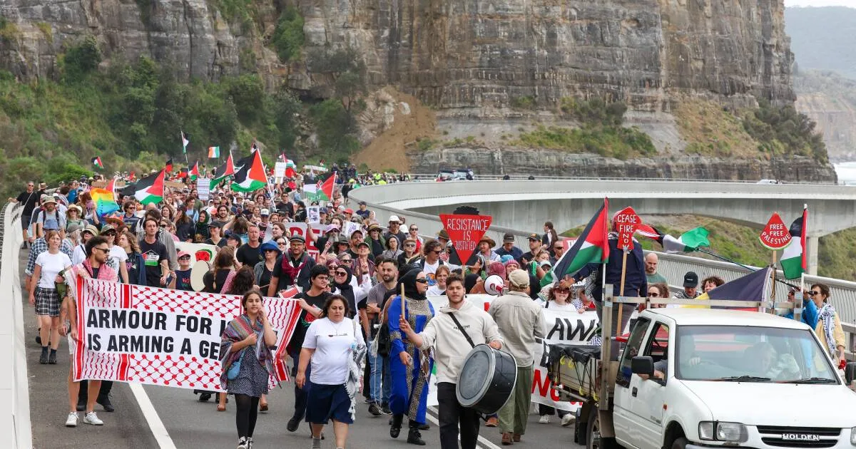 Pro-Palestine Protest Shuts Down Sea Cliff Bridge