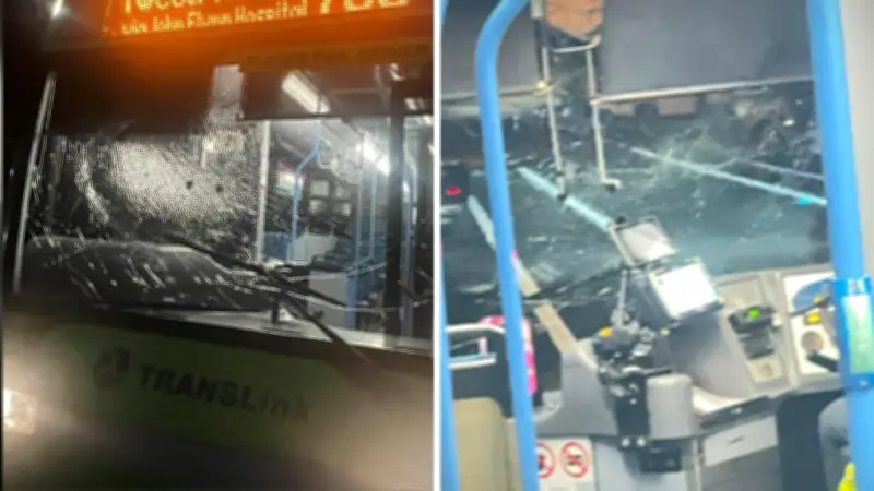 Queensland Bus Drivers Face Safety Crisis After Rock Attacks