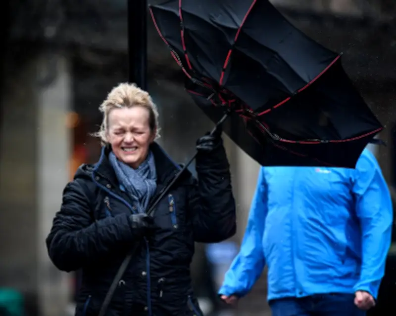 Rain Exhibition at National Library of Scotland Explores Weather's Cultural Impact