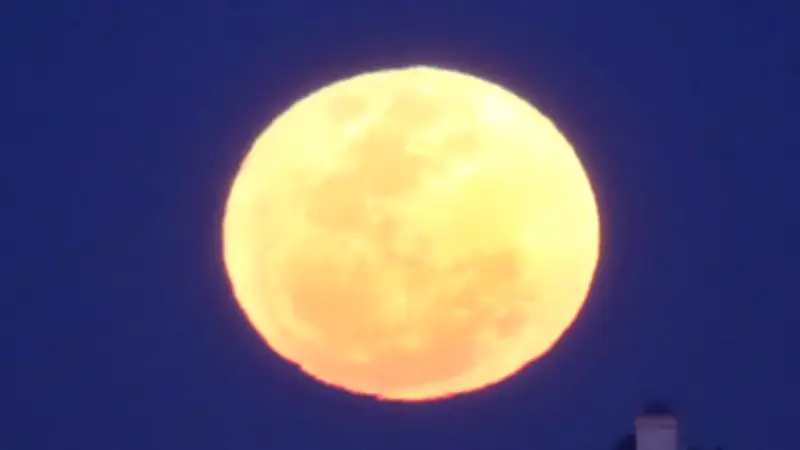 Rare Blue Micromoon to Illuminate Australian Skies on Sunday