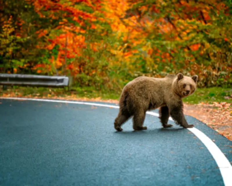 Readers' Top European Road Trips: Scenic Drives and Hidden Gems
