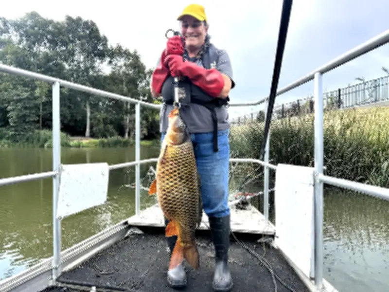 Record-Breaking 11.9kg Carp Caught in Perth Northern Suburbs