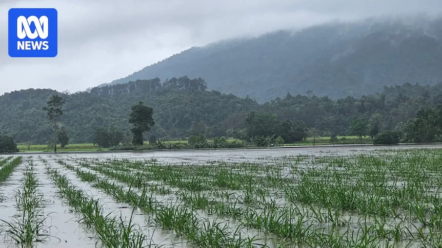 Record September Rain Triggers Flash Flood Warnings in Far North Queensland