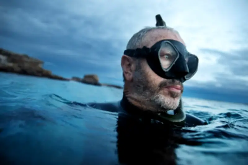 Rising Shark Bites in Australia: Experts Explain the Trends and Risks