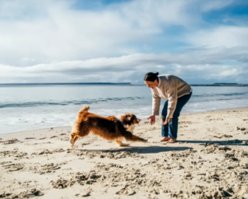 Rising Vet Costs Push Aussie Pet Owners to Prevention