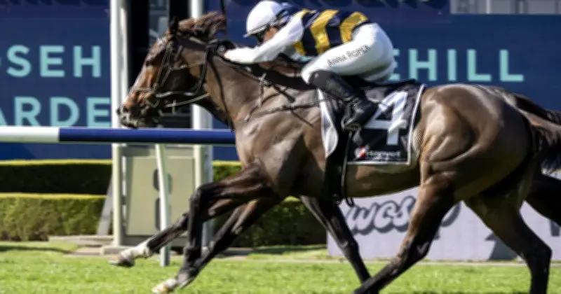 Rosehill Racing Tips: King Pedro Highlight in Ranvet Stayers Cup