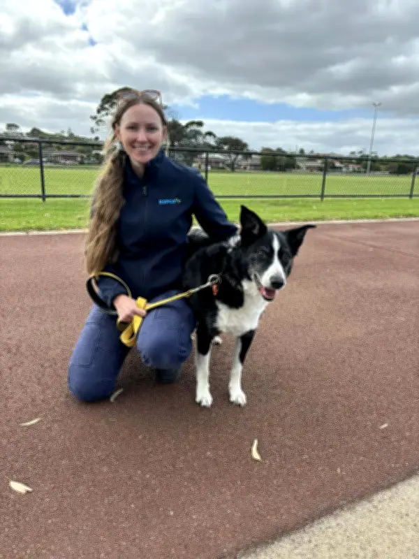 RSPCA to Hold Action Day as Animal Cruelty Reports in Belmont Jump 34%