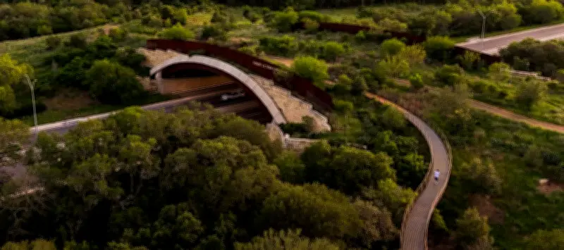 San Antonio's New Land Bridge Connects Wildlife Over Busy Highway