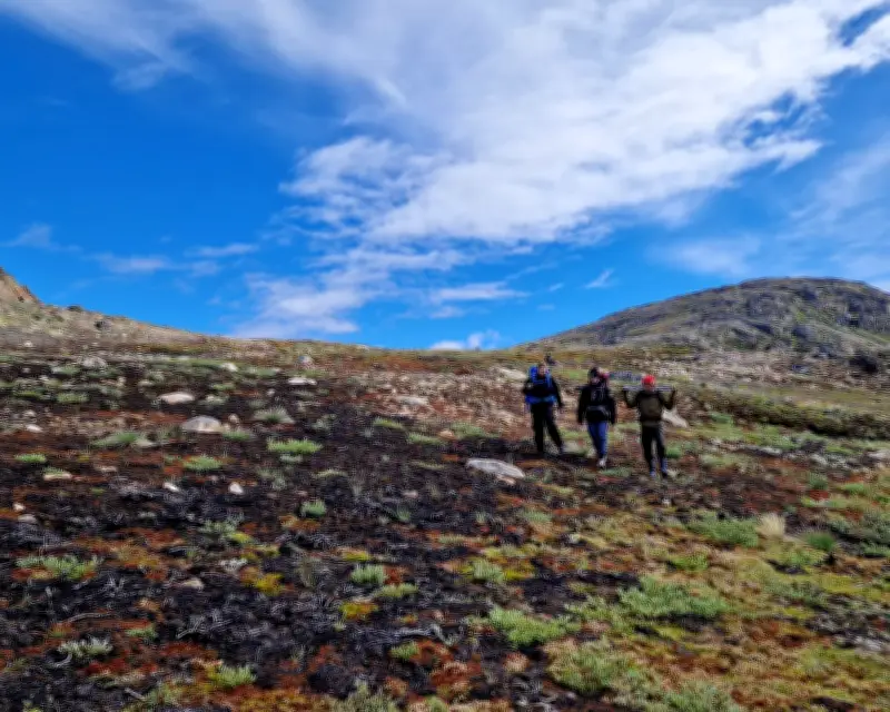Scientists Alarmed as Wildfires Ravage Greenland for First Time