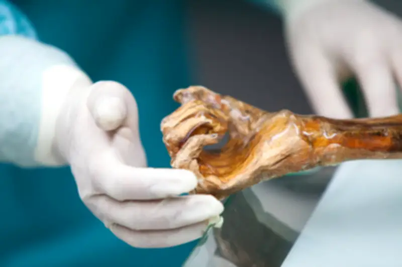 Scientists Bake Sourdough Bread Using Yeast from 5,000-Year-Old Mummy Ötzi