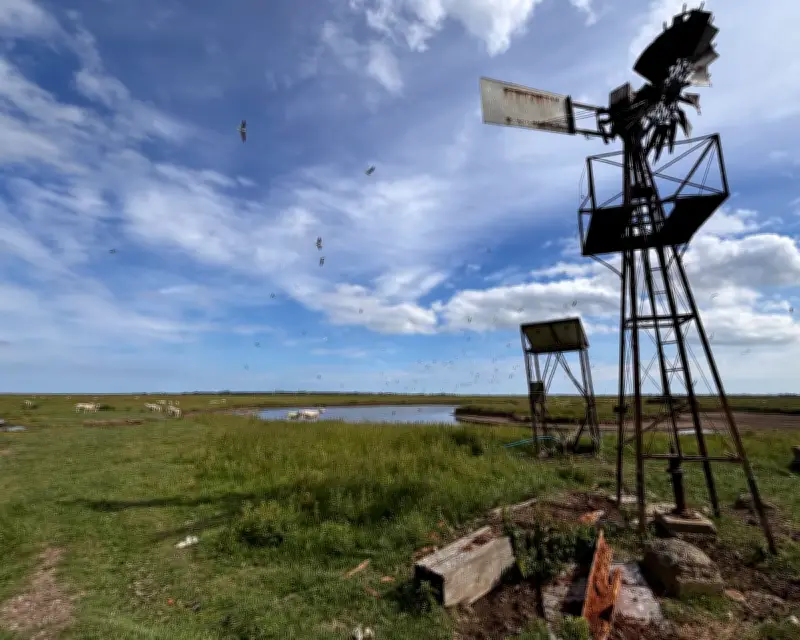 Secret Island Evokes Swallows and Amazons Magic