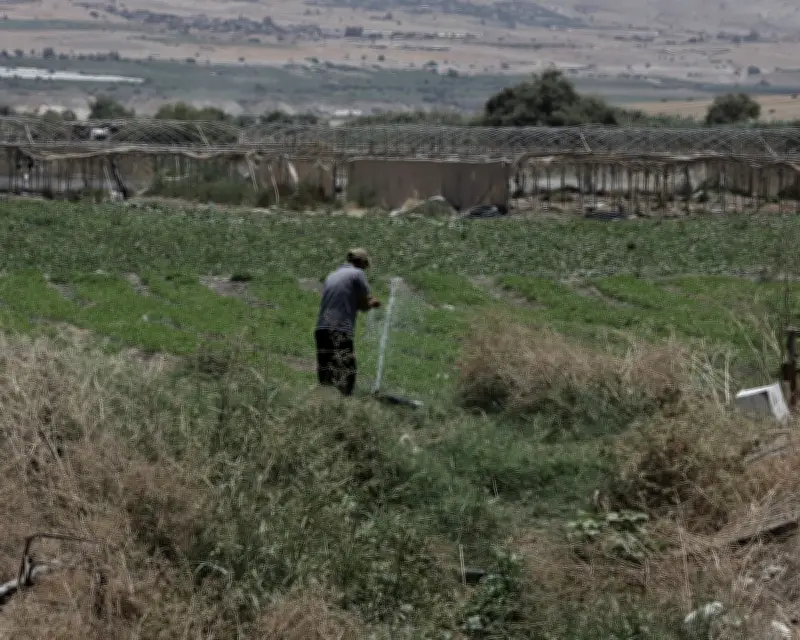 Settler Goods from Occupied Palestine Sold in Europe: Investigation