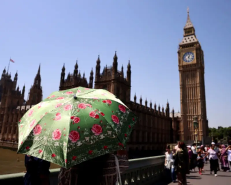 Severe European Heatwave Impossible Without Climate Crisis, Scientists Warn