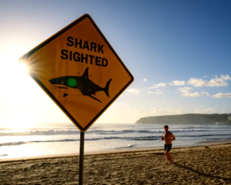 Shark Bites in Australia Rising Despite Global Decline: Experts Weigh In