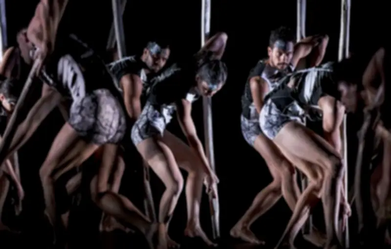 Sheltering: A Powerful Showcase of First Nations Dance and Creativity