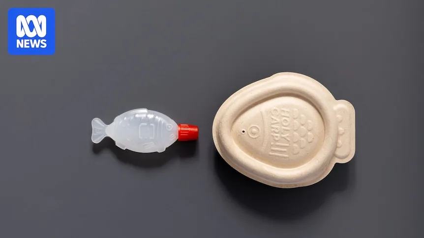 Small Plastic Icons Like Soy Sauce Fish Banned From 2026