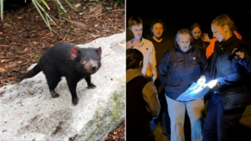 Sniffer Dogs and Drones Home In on Escaped Tasmanian Devil Mary