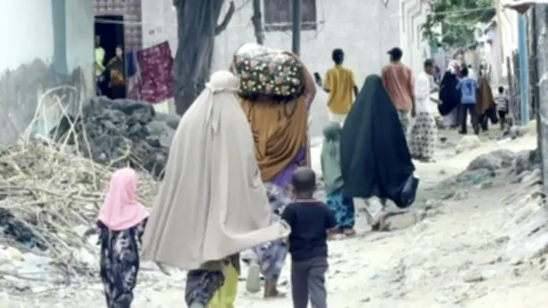 Somalia Ex-PM Attacked by Government Forces Ahead of Planned Protests