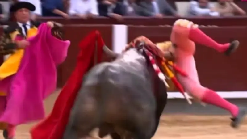 Spanish Bullfighter Gored Through Leg and Tossed by Bull in Madrid