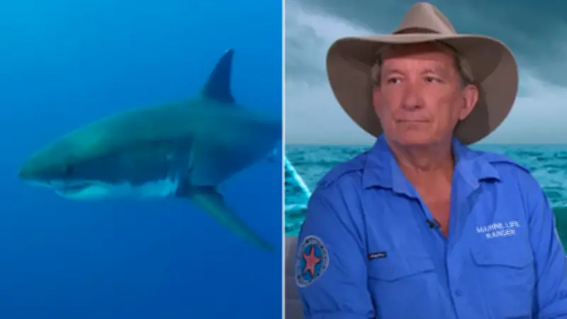 Spearfishing Death Sparks Warning on Attracting Sharks
