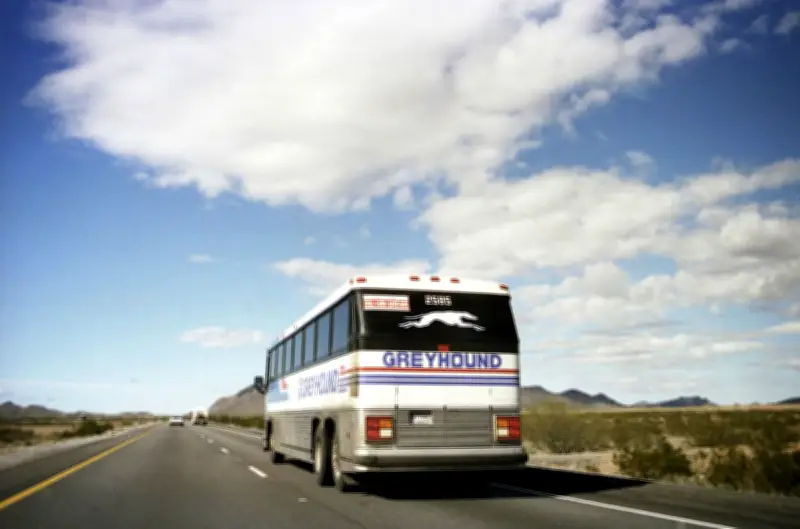 Spirit Airlines and Greyhound Bus Travel Boom in US