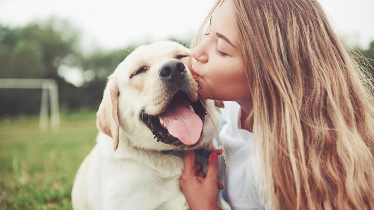 Spoil Your Pet This Love Your Pet Day With Gifts