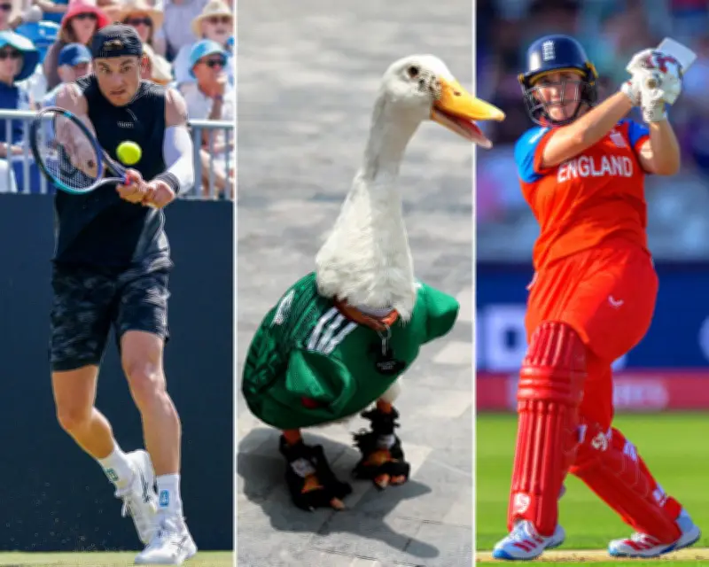 Sports Quiz: Heat World Cup, Football, Cricket, Tennis, Rugby, Golf, Athletics, Cycling