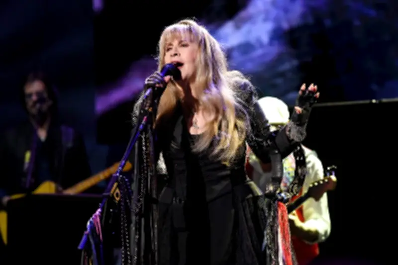 Stevie Nicks Donates $3M to USC Medical School for Voice Doctor Chair