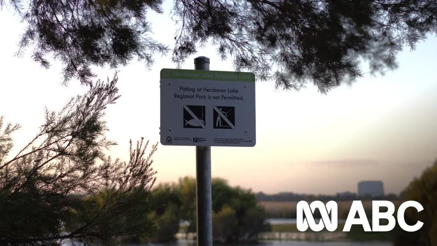 Stirling Proposes Fishing Ban at 16 Lakes After Swan Death