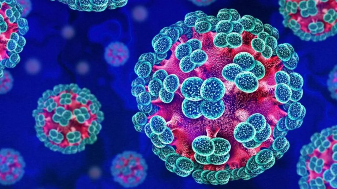 Australian Returns Home After Hantavirus Outbreak on Cruise Ship