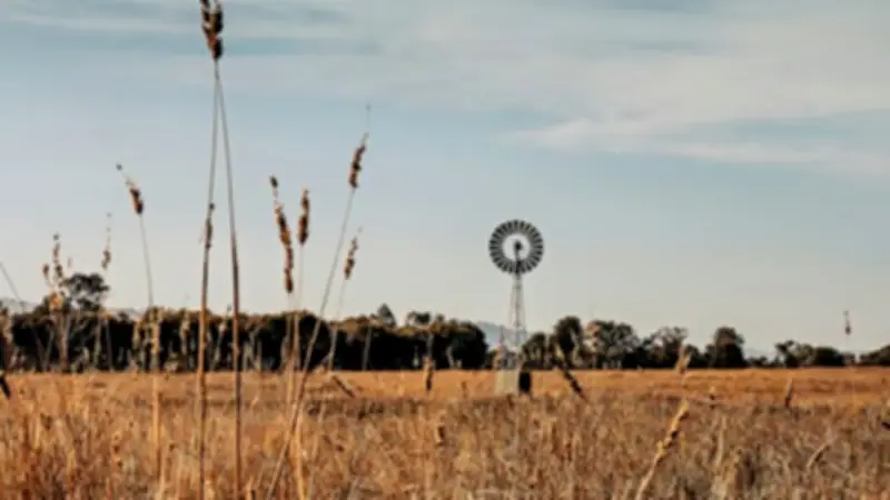 Strong El Niño Could Hit Australian Communities, Jobs, and Food Prices
