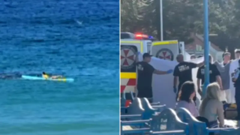 Surf lifesaver hero paddles into shark to save woman at Coogee Beach
